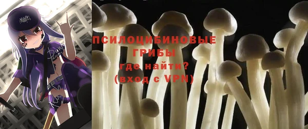 сатива Протвино