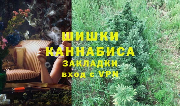 сатива Протвино